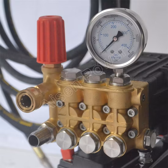 Lavadora a gasolina de alta pressão personalizada para limpeza agrícola